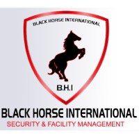 Black Horse Building Security