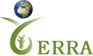 Terra International Construction LLC – Delivering Iconic Construction and Landscaping Projects Across the UAE